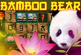 Bamboo Bear